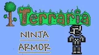 Terraria Armor Guide and Test: Ninja Armor