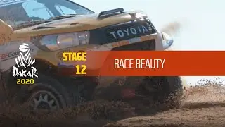 Dakar 2020 - Stage 12 - Race Beauty