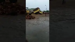 truck truck sawit skill jumping tercepat #shorts