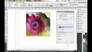 Indesign rollover miniatuur voor interactieve PDF