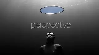 Perspective