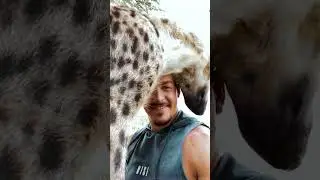 Hyena Time!
