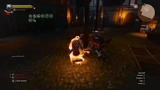 Invincible Build Geralt Fighting the Higher Vampire - Final Boss Fight | The Witcher 3