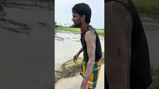 Mother and son comedy reels #comedy #cinemacomedy #comedyfilms #funny #tamilcomedydialogues