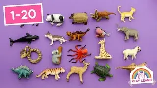 Counting to 20 With Dinosaurs And Other Animals | Learn Animals while Learning to Count to 20