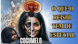 Benefícios do Cogumelo Reishi veja como funciona, compostos e efeitos
