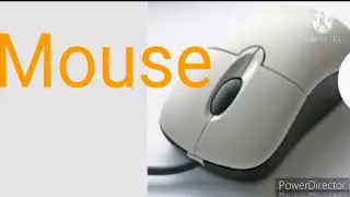 Input and Output Devices@obicaleb9112