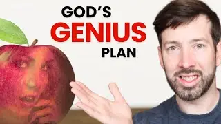 God’s Genius Design of the Garden of Eden