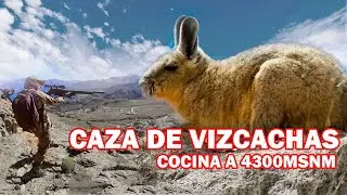 Vizcacha Hunting and Cooking at 4,300 meters above sea level: Extreme Life in the Andes