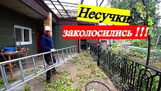 Говорят, труд облагораживает… Ну, не знаю…