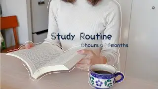 English Immersion 6 hours/day | 14 Months Update | AJATT/MIA/Migaku/Refold
