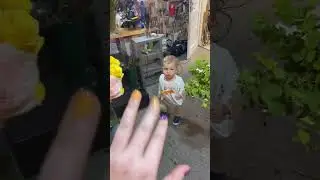 Флористический блог 