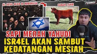 SAPI MERAH BETINA YAHUDI TELAH LAHIR ! MASJID AL-AQSA AKAN DIRUBUHKAN DAN MESIAH AKAN DATANG?