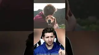 If You Have a Dog, You NEED to Watch This!