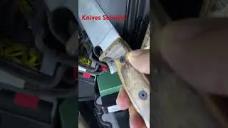 Ontario Terminator