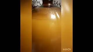 Самогон, брага на берёзовом соке