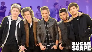 One Direction's Top 5 BIGGEST Songs
