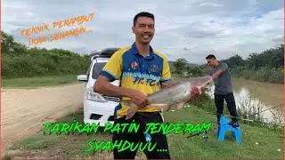🔴Mancing Patin Di Sungai Jenderam Hilir Selangor