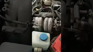 дед мышей ловит... 