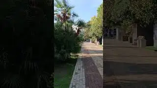 Лазаревское . 2 ноября.