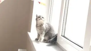 IMG 1793+