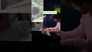singing cat meets piano