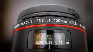 4 EF Lenses Still Worth The Money In 2021 For Your Mirrorless Camera!
