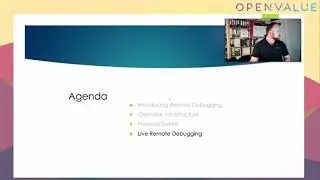 OpenValue live: Remote debugging of Java applications & Machine learning attacks and defences