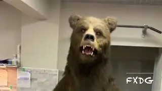 animatronic bear costume from FXDG