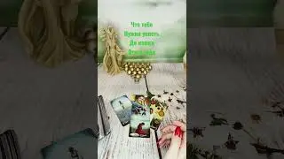 Что нужно успеть до конца года