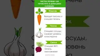 Чистка печени: как почистить в домашних условиях