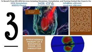 ANSYS FLUENT Training: Biomedical CFD Training Package