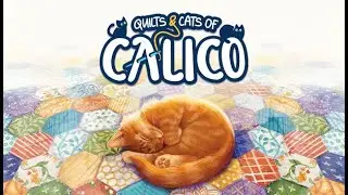 Calico l The BEST Quilter