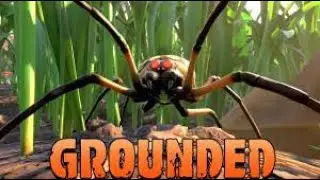 Fighting Off GIANT Wolf Spiders || Grounded