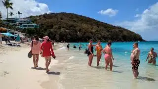 Virgin Islands Beach Walk - Coki Point - March 21, 2023 - St. Thomas, USVI