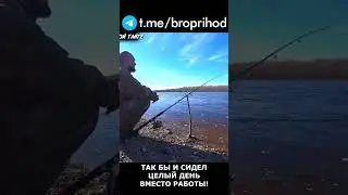 Часто думаешь о рыбалке на работе? 