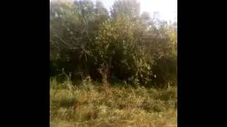 Сенакос 3
