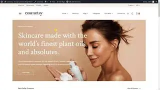 Cosmetsy - The logo does not change - Customizer - Elementor Editor?
