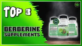 Best Berberine Supplements Recommended