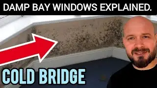 WHY DO BAY WINDOWS GET DAMP?