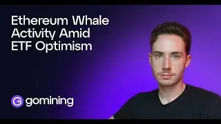 Ethereum Whale Activity Amid ETH Optimism
