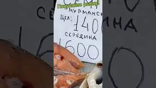 #продажарыбынарынке