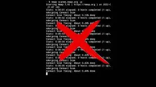 🔥NMAP shorts быстрое сканирование| флаги |nmap -T5 -sS --max-retries=0 --min-rate=3000