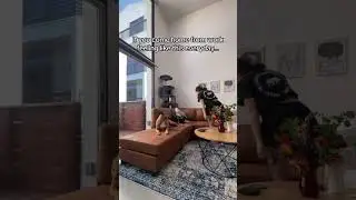 Our money can work so much harder for us than we ever can.