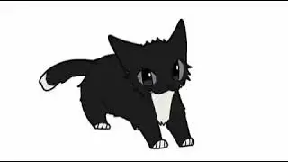 maxwell the cat