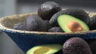 Seeding and Accolades for Avocados