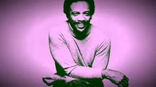 Ashford & Simpson ft Chaka Khan - Stuff Like That (A&M Records 1978)