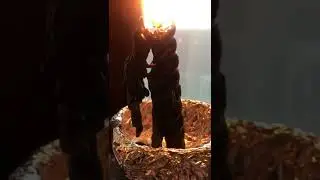 Чистка отподсела. Изгнание беса. Жесткая чистка. 