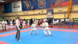 ОТКРЫТЫЙ ТУРНИР ПО КАРАТЭ-ДО ШОТОКАН (SKIF) «NORDCUP 2014»г.Санкт-Петербург