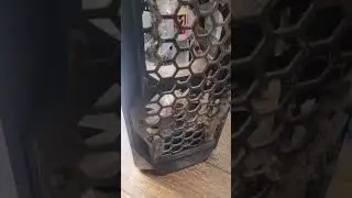 cleaning pc | banyak sarangnya | ada fosilnya 